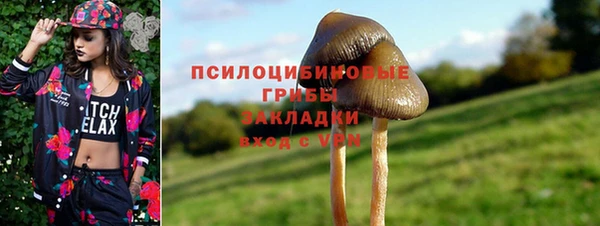 бошки Зеленодольск