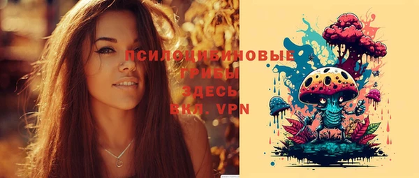 бошки Зеленодольск