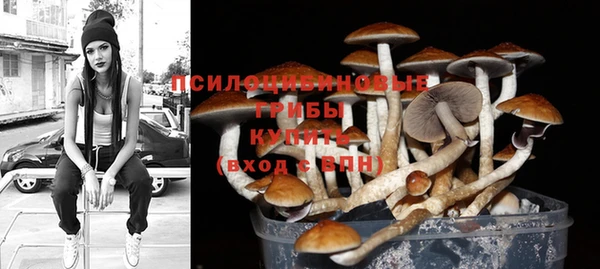 мяу мяу мука Зеленокумск