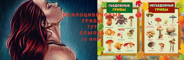 бошки Зеленодольск