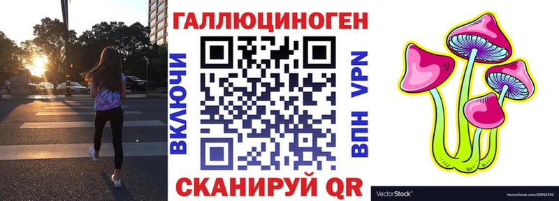 Галлюциногенные грибы Psilocybine cubensis  Купить где  Сенгилей 
